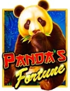 ทดลองเล่นบาคาร่า lucky กับ Pragmatic Play